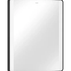 Hansgrohe Xarita Lite Q spejl med lys, 60x70 cm, sort
