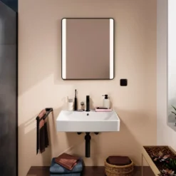 Hansgrohe Xarita Lite Q spejl med lys, 60x70 cm, sort
