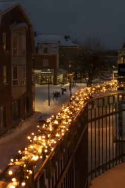 Konstsmide Cluster udendørs lyskæde, 800 ravfarvede lys, 17,58 meter
