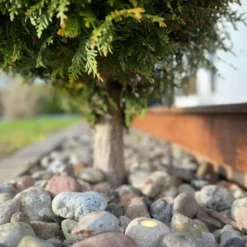 Light By Juhl pigsten med Cosmos spot, messing
