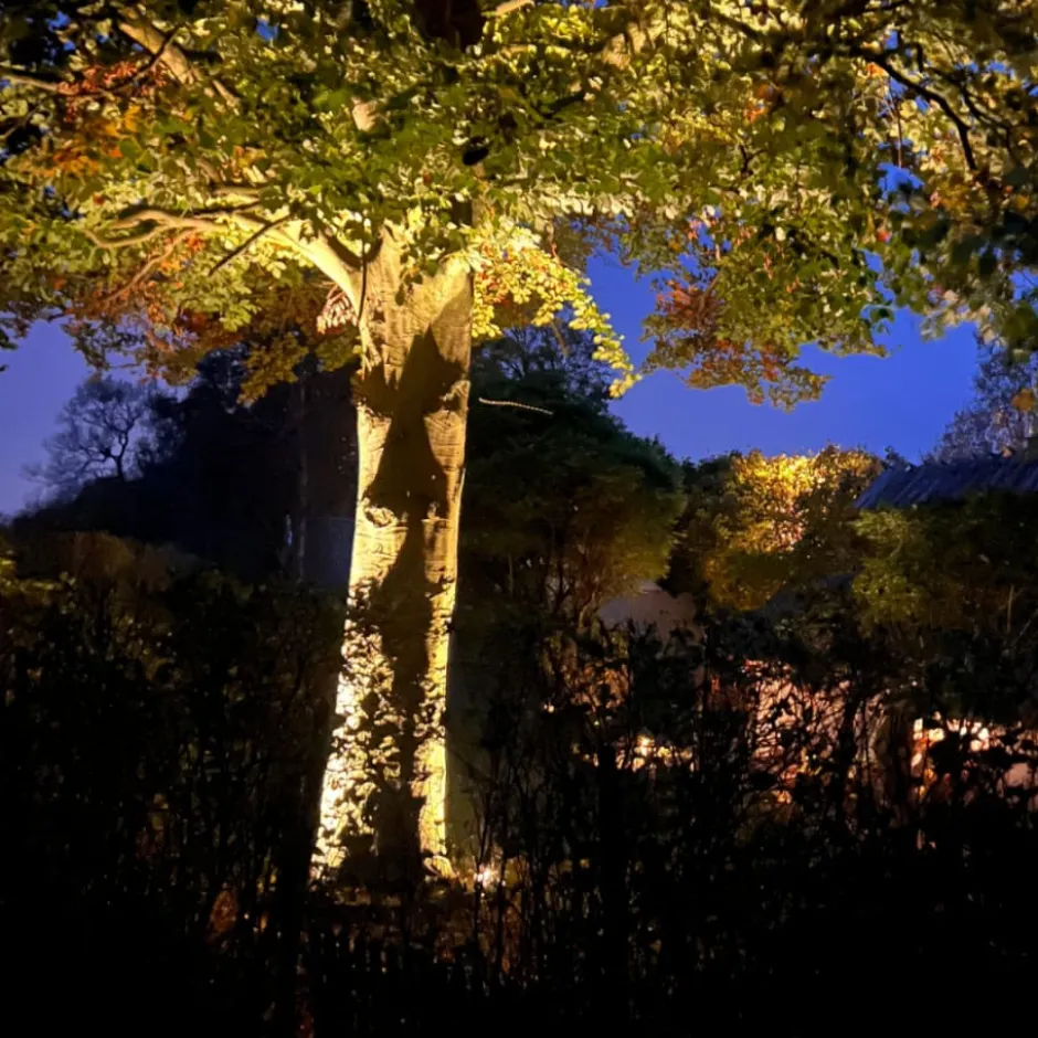Light By Juul bedlampe med Juuliane spot, rust