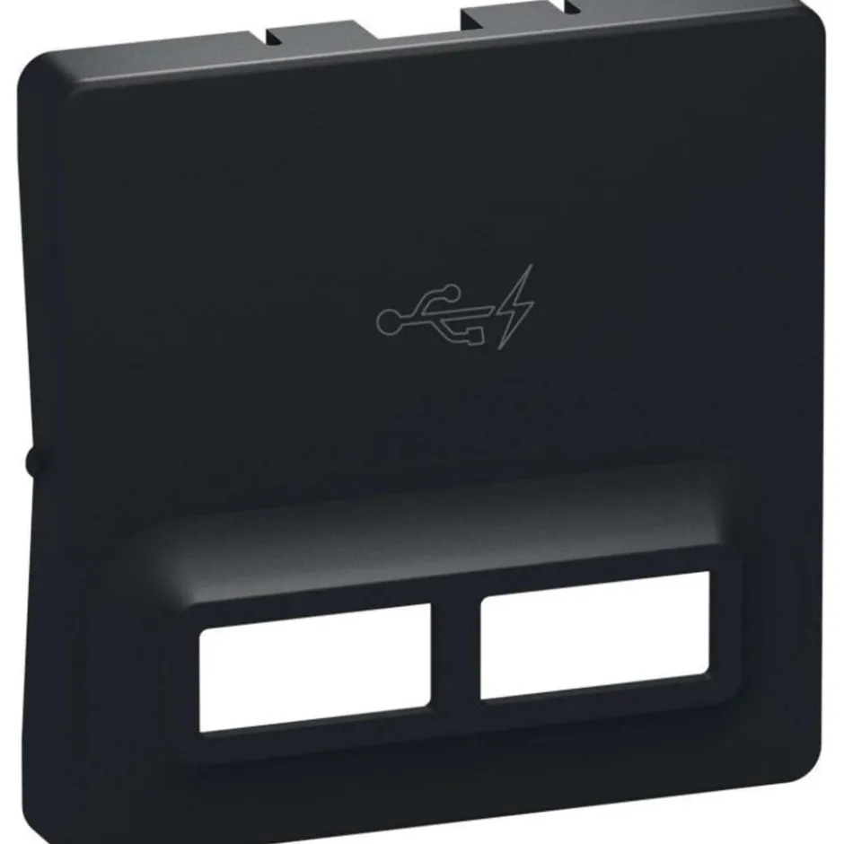 LK Fuga afdækning for 2 x USB-lader, 1 modul, koksgrå