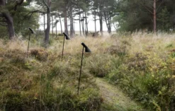 Louis Poulsen AJ Garden havelampe, 2700K, spyd, høj