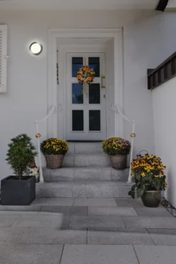 Osram Endura Style Disc udendørs væglampe