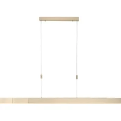 Paul Neuhaus Pure-Moto langbordspendel, messing