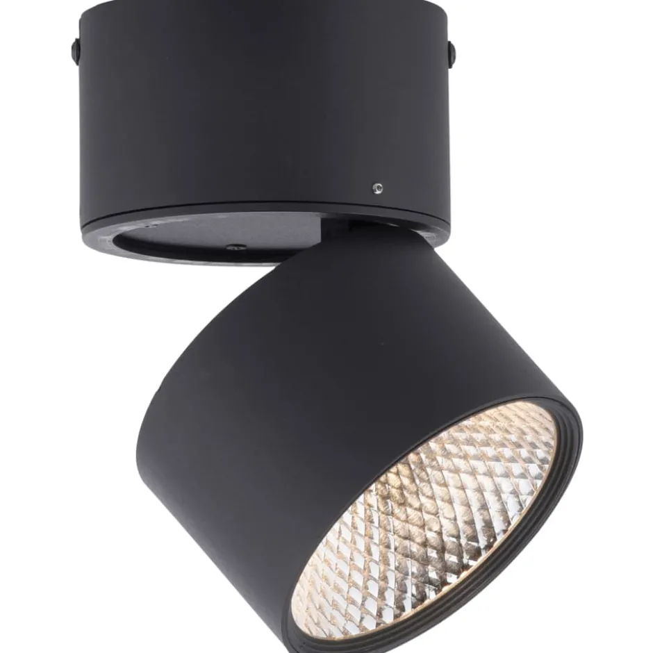 Paul Neuhaus Pure Nola spotlampe
