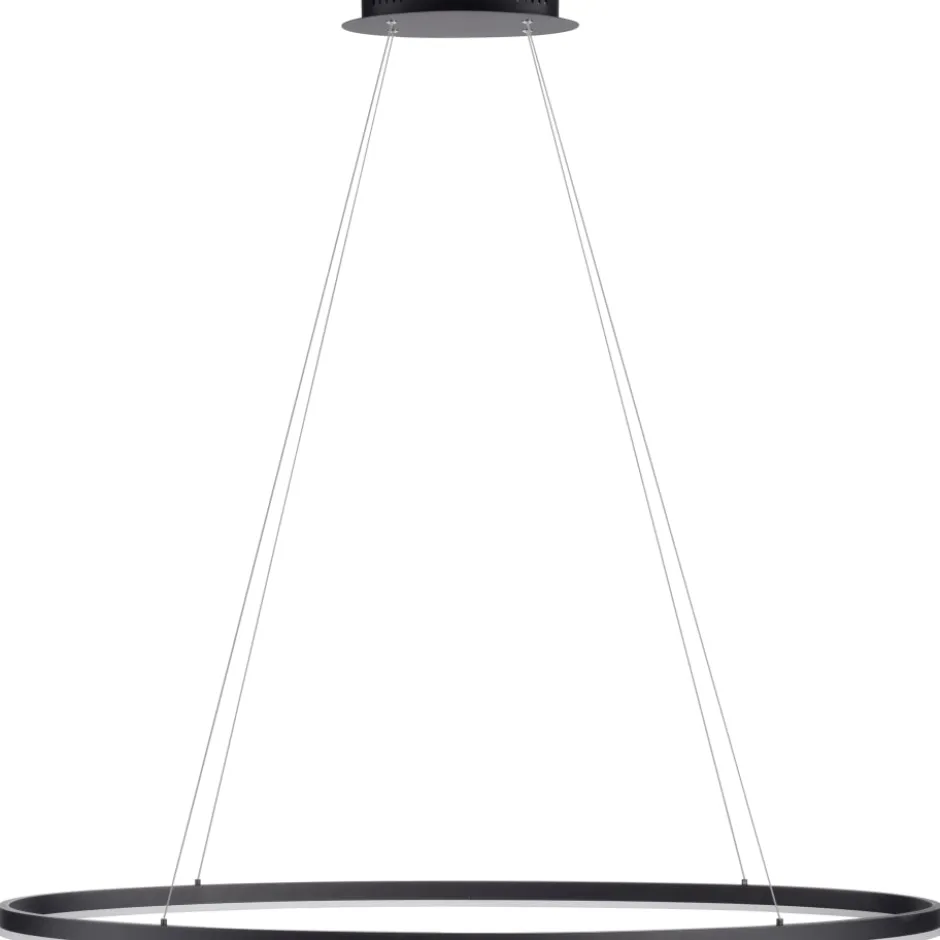 Paul Neuhaus Titus Oval lysekrone, Ø118x56 cm