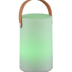 Trio Lighting Aruba genopladelig bordlampe
